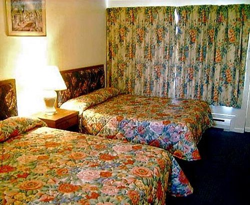 Arkona Motel Niagara Falls Rum bild